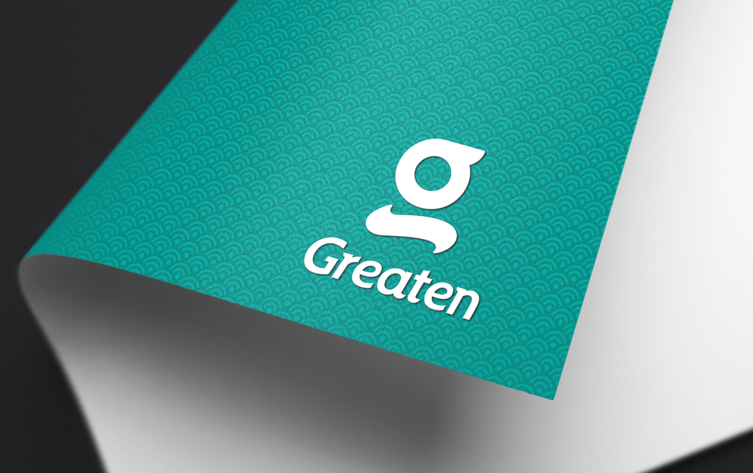 极腾护具视觉形象策略