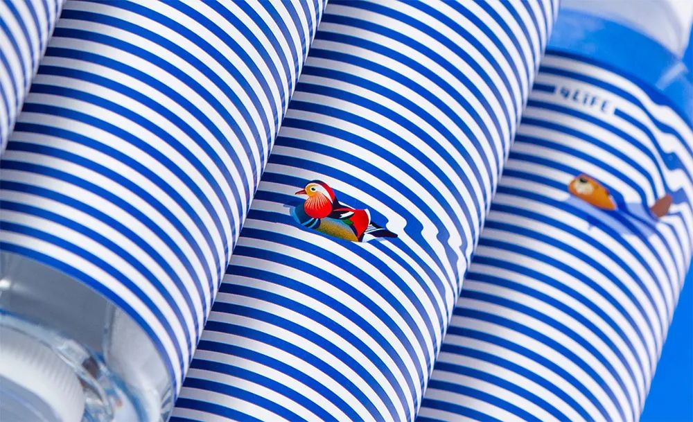 4LIFE矿泉水品牌包装设计效果