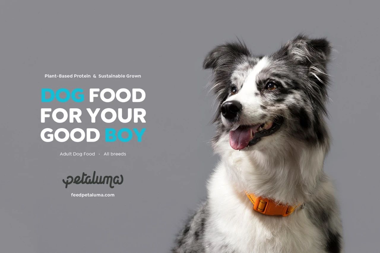 Petaluma宠物食品品牌设计品牌形象
