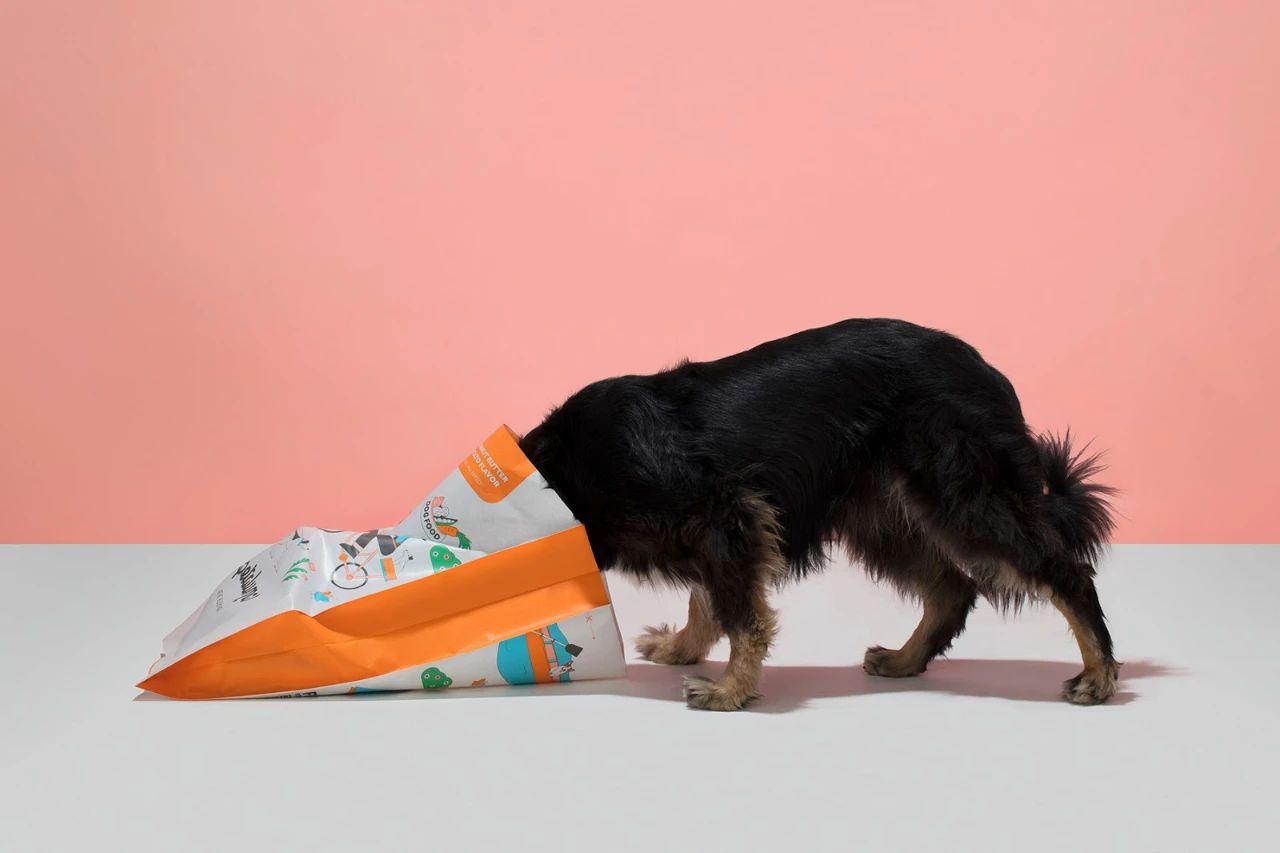 Petaluma宠物食品品牌设计创意展示
